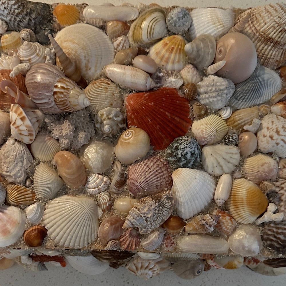 Seashell Decorative Box - Picture 2 of 7